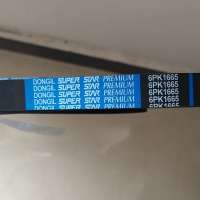 dongil Factory Produced Rubber V Ribbed Belt with 8PK 1550